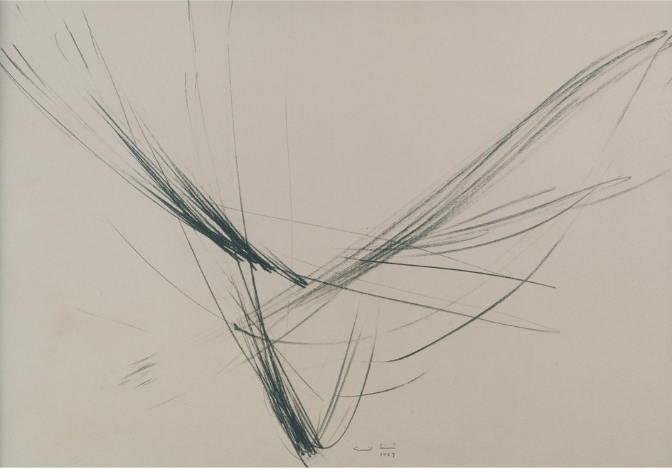 Reti al sole, 1964 - grafite - cm 68x95