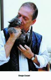 Il gattile