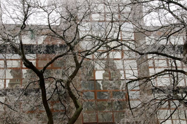 FROZEN SHOTS / SCATTI CONGELATI: DAL 24 GENNAIO ALLO SHAKY BAR DI TRIESTE LE IMMAGINI DI LAURA PORETTI RIZMAN DEDICATE ALL&rsquo;INVERNO UNGHERESE