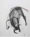 Toro aplomado 1961 - grafite - cm 29x23