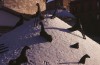 Napoli Montagna di sale di Mimo Paladino 1996