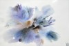Blu delle regine, 2014 - acquarello su carta - cm 50x35  2