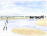 In carrozzella sulla spiaggia, 2014 - acquerello - cm 46x61