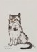 Gatto seduto - acquerello su carta - cm 26x34 (coll. privata)