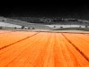 C. Saccari - Terra sanguigna 2012 - stampa a pigmenti colorati su carta di cotone al 100 baritata - cm 60x40