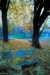 C. Saccari - Thiene autunno 1984 - stampa a pigmenti colorati su carta di cotone al 100 baritata - cm 42x60