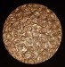 Helios shield of light, 2016 - tecnica mista su legno - diametro cm 60
